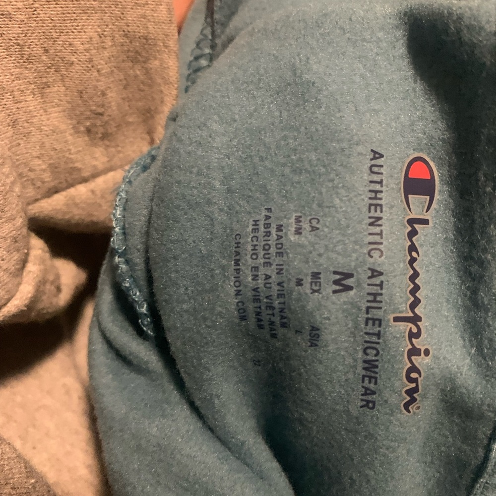 Blue champion hoodie, womens size M.